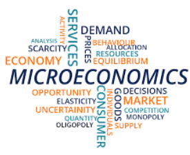 Online Course Certificate in Microeconomics Course