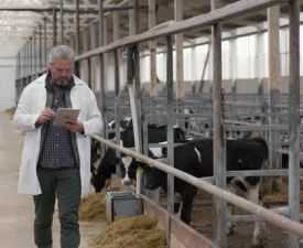 Online course Diploma in Dairy Farm Supervisor