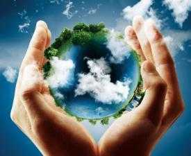 Online Course Certificate in Sustainability Science