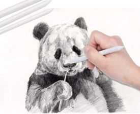 Sketching Course, Online Course Certificate in Pencil Drawing