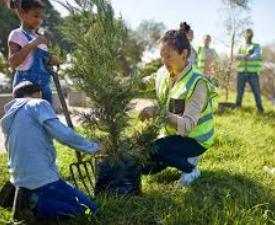 Diploma in Forest Management and Conservation course