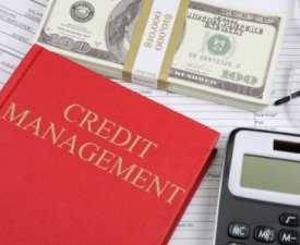 Online Course Certificate in Credit Management Course