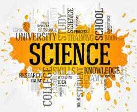Online Course Diploma in Management Science